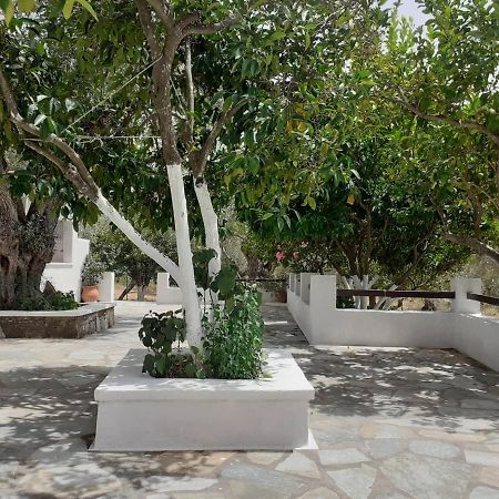Villa Tillia Panormos  Екстериор снимка
