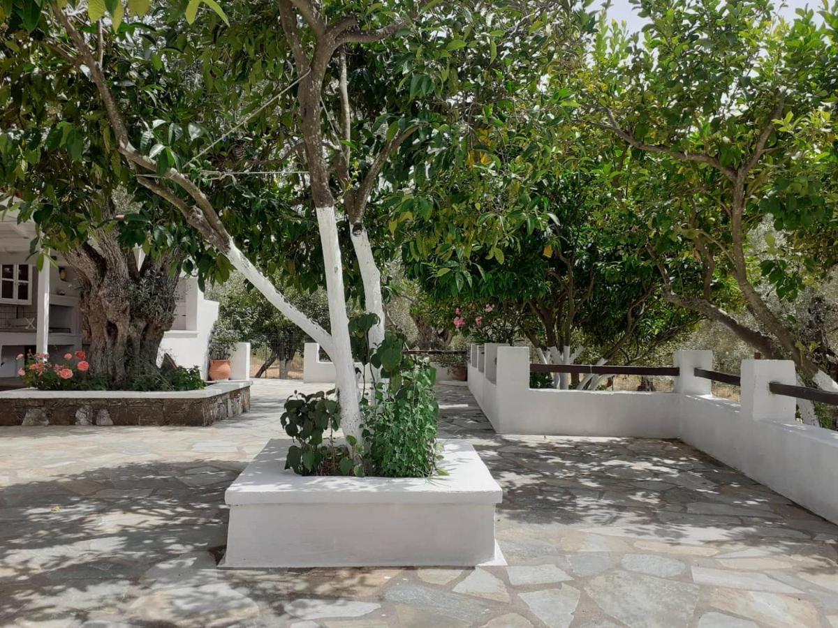 Villa Tillia Panormos  Екстериор снимка