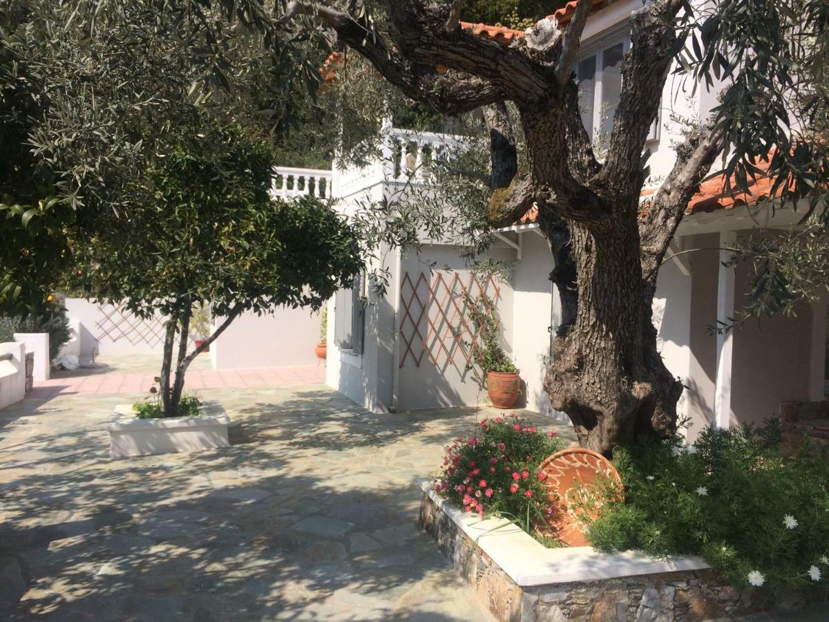 Villa Tillia Panormos  Екстериор снимка