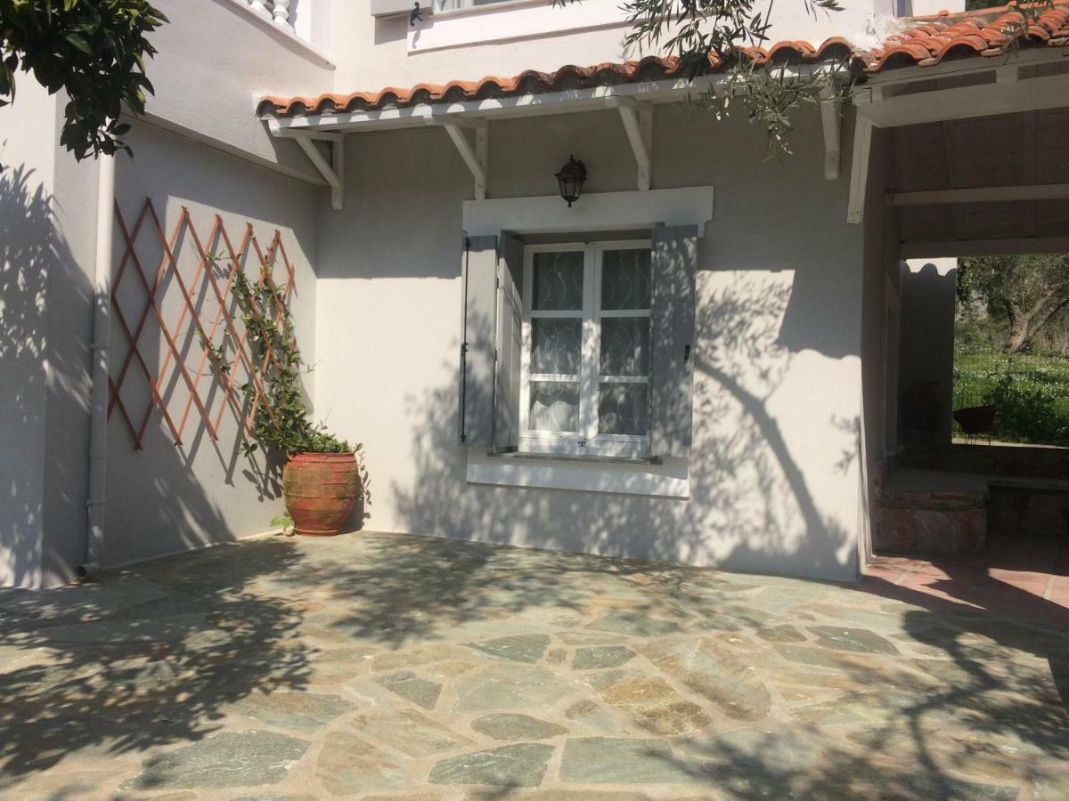 Villa Tillia Panormos  Екстериор снимка
